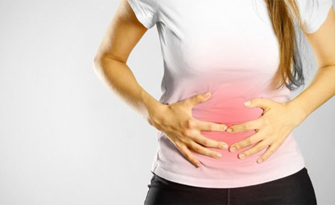 Le French Gut et le microbiote intestinal